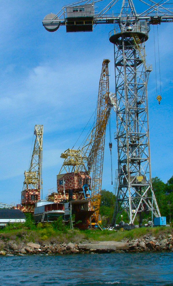 Stockholm: Giraffe Cranes