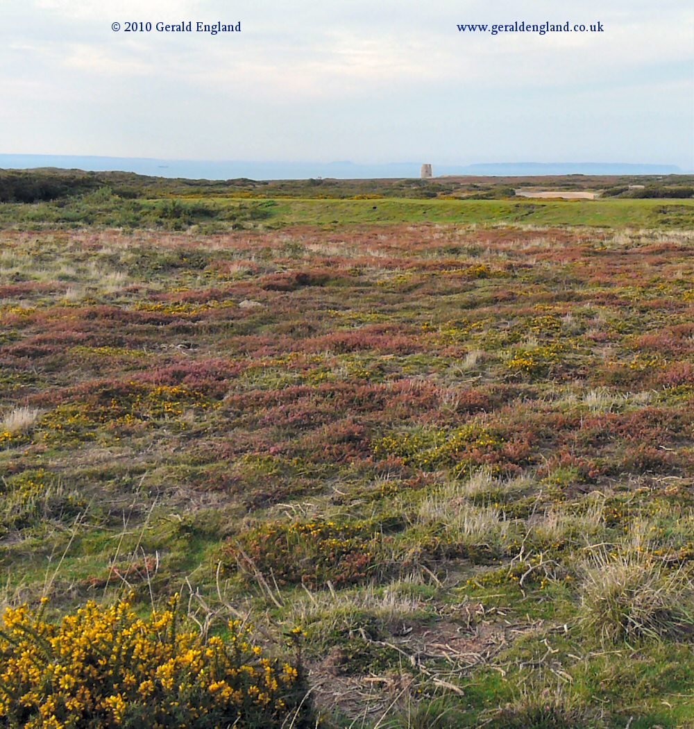 Les Landes: Coastal Heathland