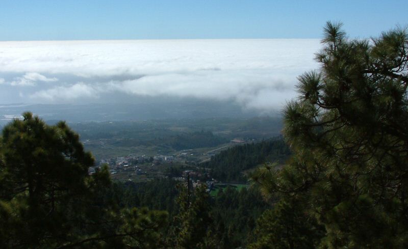 Vilaflor from Montaña de Chasna
