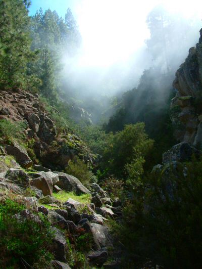 Mirador: Below the cloud line