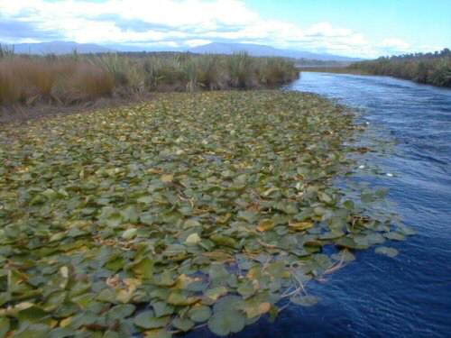 Entering Lake Mahinapua