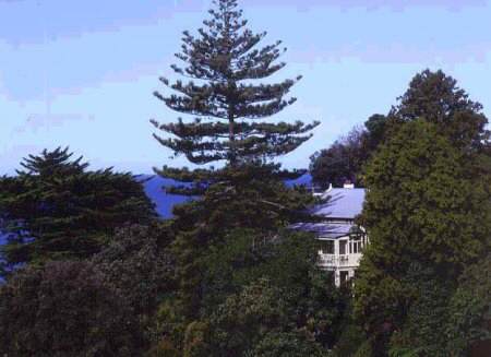 The Large House, Napier