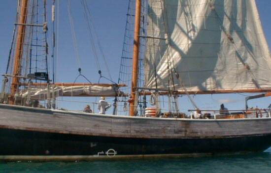 Bay of Islands: R Tucker Thompson