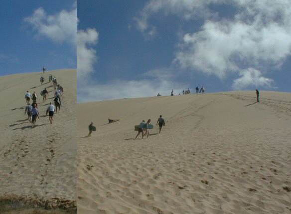 Ninety-mile Beach: Dunebogganing
