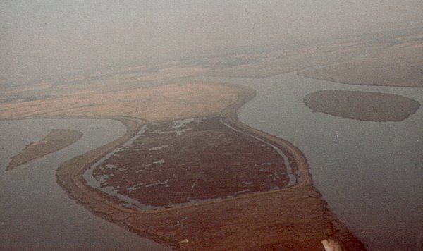 Fingringhoe Marshes, September 1981