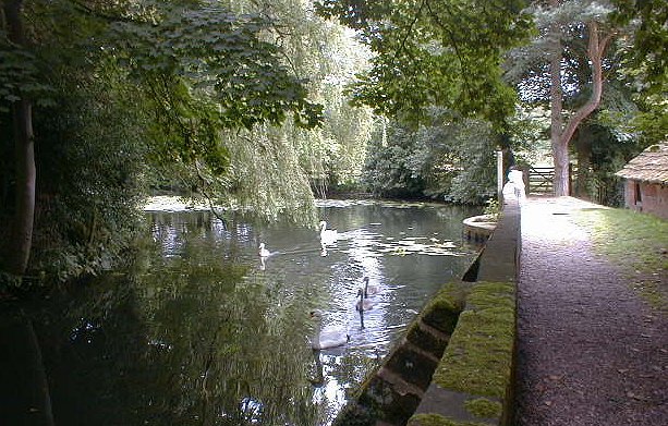 Behind Nether Alderley Mill, June 2001