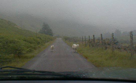 On the road out of Glenelg 